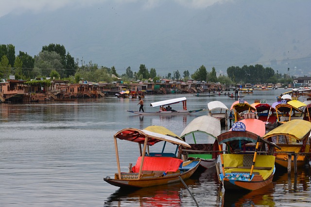 Image of kashmir